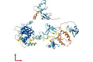 AlphaFold protein structure predicition of Human Recombinant ZFYVE1 Protein, UniprotID Q9HBF4 (ZFYVE1 Protein (AA 1-777) (His tag))