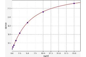Typical standard curve (C1QBP ELISA Kit)