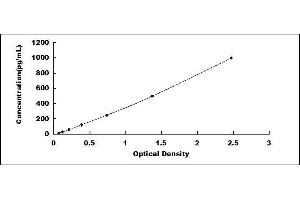 Image no. 1 for Nerve Growth Factor (NGF) ELISA Kit (ABIN5665025) (Nerve Growth Factor ELISA Kit)