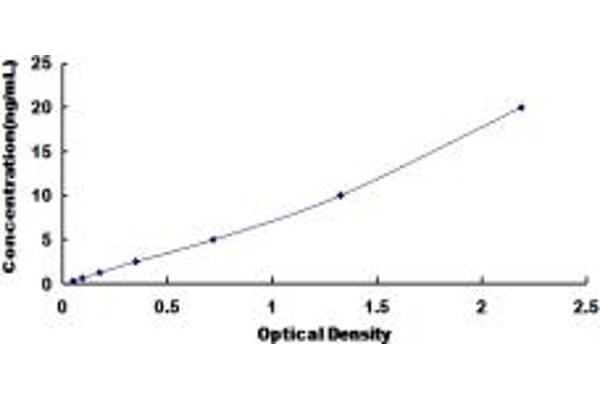 NPY1R ELISA Kit