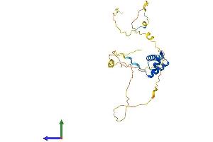 Protein Structure (PS) image for BARX Homeobox 1 (BARX1) (AA 1-254) protein (His tag) (ABIN7561418)