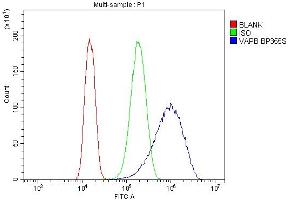Flow Cytometry analysis of CACO-2 cells using anti-VAPB antibody (ABIN5693292). (VAPB antibody  (AA 2-55))