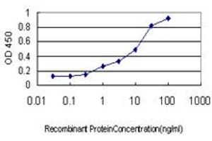 Detection limit for recombinant GST tagged NCF4 is approximately 0. (NCF4 antibody  (AA 1-100))