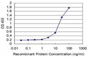 Detection limit for recombinant GST tagged SYN1 is approximately 1ng/ml as a capture antibody.