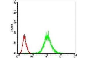 Flow cytometric analysis of Jurkat cells using MAP2K5 mouse mAb (green) and negative control (red). (MAP2K5 antibody  (AA 63-180))