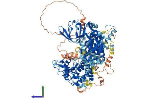 AlphaFold protein structure predicition of Human Recombinant RAPGEF3 Protein, UniprotID O95398