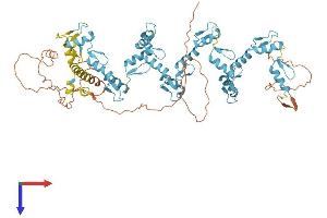 AlphaFold protein structure predicition of Human Recombinant ZNF283 Protein, UniprotID Q8N7M2 (ZNF283 Protein (AA 1-679) (His tag))