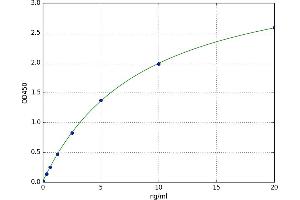 S100 Calcium Binding Protein A10 (S100A10) ELISA Kit