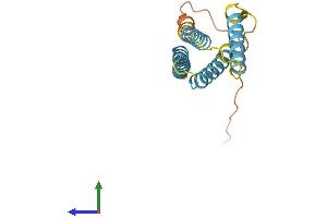 AlphaFold protein structure predicition of Mouse Recombinant Cmtm7 Protein, UniprotID Q9ESD6 (CMTM7 Protein (AA 1-167) (His tag))