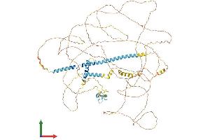 AlphaFold protein structure predicition of Human Recombinant ZC3H18 Protein, UniprotID Q86VM9 (ZC3H18 Protein (AA 1-953) (His tag))