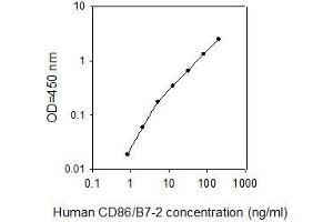 ELISA image for CD86 (CD86) ELISA Kit (ABIN4882265) (CD86 ELISA Kit)