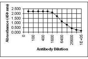 ELISA image for anti-Glycophorin C (GYPC) antibody (ABIN265604) (CD236/GYPC antibody)