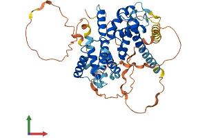 AlphaFold protein structure predicition of Human Recombinant CCNJL Protein, UniprotID Q8IV13