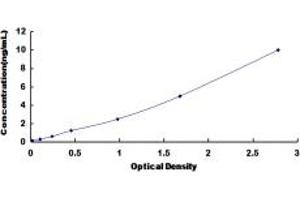 Typical standard curve (FHL1 ELISA Kit)