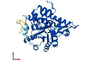AlphaFold protein structure predicition of Human Recombinant HAO1 Protein, UniprotID Q9UJM8 (HAO1 Protein (AA 1-370) (His tag))