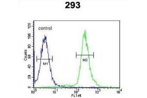 Flow Cytometry (FACS) image for anti-Guanylate Binding Protein 7 (GBP7) antibody (ABIN3002164)