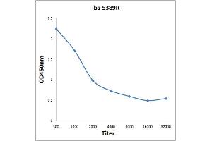 Antigen: 0. (HDAC2 antibody  (pSer394))