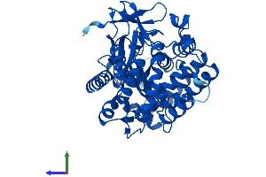 AlphaFold protein structure predicition of Human Recombinant SMYD3 Protein, UniprotID Q9H7B4 (SMYD3 Protein (AA 1-428) (His tag))