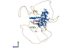 Protein Structure (PS) image for Exonuclease 1 (EXO1) (AA 1-837) protein (His tag) (ABIN7565163)