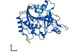Protein Structure (PS) image for Purine Nucleoside Phosphorylase (PNP) (AA 1-289) protein (His tag) (ABIN7550901)