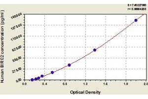 BIRC2 ELISA Kit