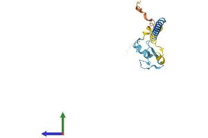 Protein Structure (PS) image for Ring Finger Protein 24 (RNF24) (AA 1-148) protein (His tag) (ABIN7558558)