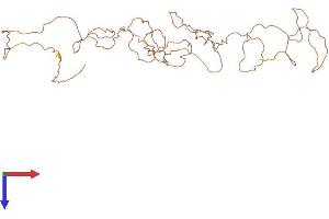 Keratin Associated Protein 10-6 (KRTAP10-6) (AA 1-365) protein (His tag)