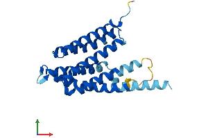 AlphaFold protein structure predicition of Human Recombinant CDIPT Protein, UniprotID O14735