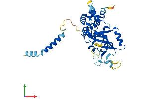 AlphaFold protein structure predicition of Mouse Recombinant Parp16 Protein, UniprotID Q7TMM8
