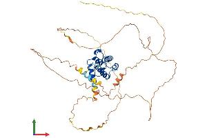 AlphaFold protein structure predicition of Mouse Recombinant Smtnl1 Protein, UniprotID Q99LM3