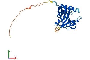 Protein Structure (PS) image for Aralkylamine N-Acetyltransferase (AANAT) (AA 1-205) protein (His tag) (ABIN7562664)