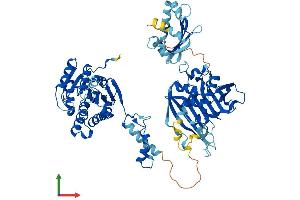 Protein Structure (PS) image for Hydroxysteroid (17-Beta) Dehydrogenase 4 (HSD17B4) (AA 1-736) protein (His tag) (ABIN7547100)