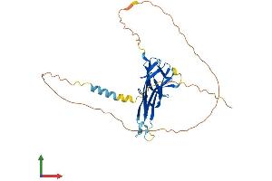 Protein Structure (PS) image for Lymphotoxin beta (TNF Superfamily, Member 3) (LTB) (AA 1-306) protein (His tag) (ABIN7563224)