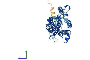 AlphaFold protein structure predicition of Mouse Recombinant Acer1 Protein, UniprotID Q8R4X1 (ACER1 Protein (AA 1-273) (His tag))