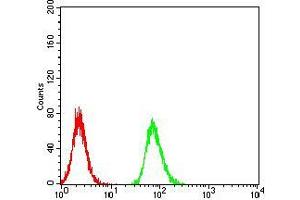 Flow Cytometry (FACS) image for anti-RNA Binding Protein, Fox-1 Homolog 3 (RBFOX3) (AA 1-140) antibody (ABIN5542704)