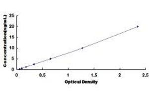 Typical Standard Curve (Ezrin ELISA Kit)