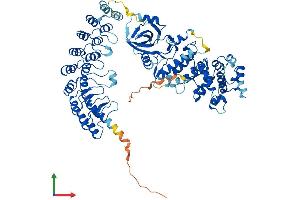 Protein Structure (PS) image for Ribonuclease L (2',5'-Oligoisoadenylate Synthetase-Dependent) (RNASEL) (AA 1-735) protein (His tag) (ABIN7563598)