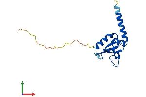 Protein Structure (PS) image for GSK3B interacting protein (GSKIP) (AA 1-139) protein (His tag) (ABIN7548213)