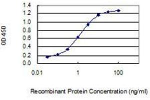 Detection limit for recombinant GST tagged PTK2B is 0. (PTK2B antibody  (AA 682-871))