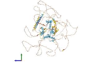 AlphaFold protein structure predicition of Human Recombinant SALL4 Protein, UniprotID Q9UJQ4 (SALL4 Protein (AA 1-1053) (His tag))