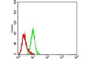 Flow cytometric analysis of K562 cells using CD147 mouse mAb (green) and negative control (red). (CD147 antibody  (AA 138-323))
