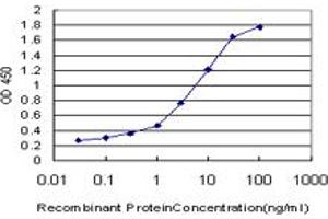 Detection limit for recombinant GST tagged NOLC1 is approximately 0. (NOLC1 antibody  (AA 590-699))