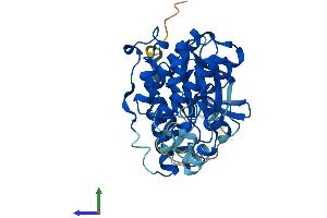 AlphaFold protein structure predicition of Mouse Recombinant Mapk11 Protein, UniprotID Q9WUI1 (MAPK11 Protein (AA 1-364) (His tag))