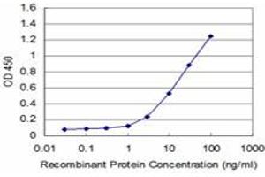 Detection limit for recombinant GST tagged GCM1 is approximately 1ng/ml as a capture antibody. (GCM1 antibody  (AA 108-166))