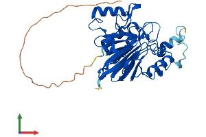 Protein Structure (PS) image for metallophosphoesterase Domain Containing 1 (MPPED1) (AA 1-326) protein (His tag) (ABIN7549555)