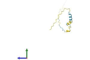 AlphaFold protein structure predicition of Mouse Recombinant Pkib Protein, UniprotID Q04758 (PKIB Protein (AA 1-92) (Fc Tag))