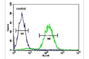 Flow cytometric analysis of Jurkat cells using MAGEA3 polyclonal antibody  (right histogram) compared to a negative control cell (left histogram). (MAGEA3 antibody  (AA 283-314))