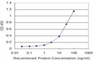 PLEKHM1 antibody  (AA 957-1056)