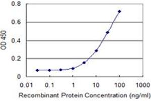 Detection limit for recombinant GST tagged MAPK13 is 1 ng/ml as a capture antibody. (MAPK13 antibody  (AA 1-365))