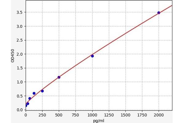 MYEF2 ELISA Kit